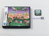 DL3410 Animal Crossing Wild World Boxed Nintendo DS Japan