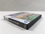 DL3410 Animal Crossing Wild World Boxed Nintendo DS Japan