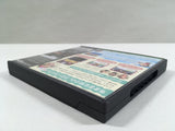 DL3410 Animal Crossing Wild World Boxed Nintendo DS Japan
