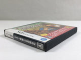 DL3414 Professor Layton and the Curious Village Boxed Nintendo DS Japan