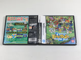 DL3426 Digimon World Story Boxed Nintendo DS Japan