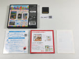 DL3427 Tetris DS Boxed Nintendo DS Japan