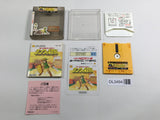DL3494 The Legend Of Zelda 2 Boxed Nintendo Famicom Disk Japan