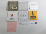 DL3510 Pro Golfer Saru Kage no Tournament Boxed Nintendo Famicom Disk Japan