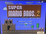 DL3595 Super Mario Bros. 2 Nintendo Famicom Disk Japan