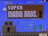 DL3598 Super Mario Bros. 2 Nintendo Famicom Disk Japan