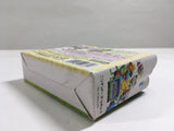 Pokemon Channel Nintendo GameCube Japan - DL3696