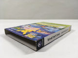 Pokemon Channel Nintendo GameCube Japan - DL3697