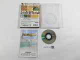 Mario Power Tennis GC Nintendo GameCube Japan - DL3713