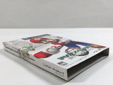 Mario Superstar Baseball Super Mario Stadium Miracle GameCube Japan - DL3730