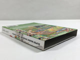 Mario Superstar Baseball Super Mario Stadium Miracle GameCube Japan - DL3730