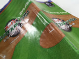 Mario Superstar Baseball Super Mario Stadium Miracle GameCube Japan - DL3730