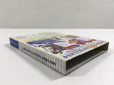 Nintendo Puzzle Collection Nintendo GameCube Japan - DL3732