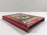 Paper Mario The Thousand Year Door Nintendo GameCube Japan - DL3733