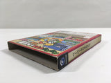 Paper Mario The Thousand Year Door Nintendo GameCube Japan - DL3733