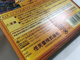 Wario World Nintendo GameCube Japan - DL3734