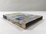 Pokemon Box Ruby and Sapphire Nintendo GameCube Japan - DL3746