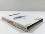Final Fantasy Crystal Chronicles Nintendo GameCube Japan - DL3757