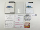 Final Fantasy Crystal Chronicles Nintendo GameCube Japan - DL3758