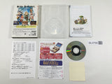 Final Fantasy Crystal Chronicles Nintendo GameCube Japan - DL3758