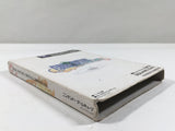 Final Fantasy Crystal Chronicles Nintendo GameCube Japan - DL3759