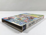 One Piece Treasure Battle! Nintendo GameCube Japan - DL3761