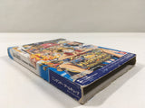 One Piece Treasure Battle! Nintendo GameCube Japan - DL3762