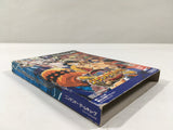 One Piece Grand Battle! 3 Nintendo GameCube Japan - DL3764