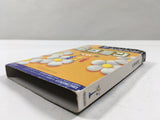 Pikmin Nintendo GameCube Japan - DL3775