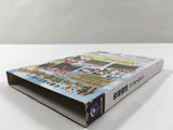 Harvest Moon Another Wonderful Life BokujoMonogatari GameCube Japan - DL3781