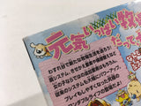 Harvest Moon Wonderful Life For Girl Nintendo GameCube Japan - DL3805