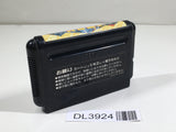 Ghouls 'n Ghosts Dai Makaimura SEGA MegaDrive Genesis Japan - DL3924