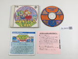 Monster Lair Wonderboy III PC Engine TurboGrafx CD Japan - DL3933