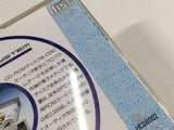 Fighting Street PC Engine TurboGrafx CD Japan - DL3955