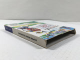 Super Mario Sunshine Nintendo GameCube Japan - DL4120