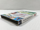 Super Mario Sunshine Nintendo GameCube Japan - DL4120