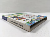 Super Mario Sunshine Nintendo GameCube Japan - DL4121