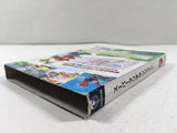 Super Mario Sunshine Nintendo GameCube Japan - DL4122