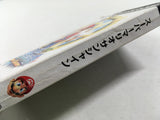 Super Mario Sunshine Nintendo GameCube Japan - DL4122