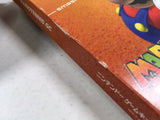 Mario Power Tennis GC Nintendo GameCube Japan - DL4131