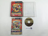 Paper Mario The Thousand Year Door Nintendo GameCube Japan - DL4132