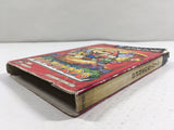 Paper Mario The Thousand Year Door Nintendo GameCube Japan - DL4132