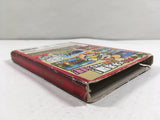 Paper Mario The Thousand Year Door Nintendo GameCube Japan - DL4132