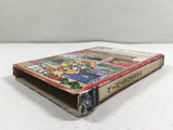 Paper Mario The Thousand Year Door Nintendo GameCube Japan - DL4132