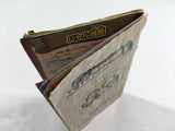 Paper Mario The Thousand Year Door Nintendo GameCube Japan - DL4132
