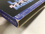 Luigi's Mansion Nintendo GameCube Japan - DL4134