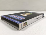 Luigi's Mansion Nintendo GameCube Japan - DL4135