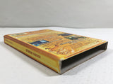 Wario World Nintendo GameCube Japan - DL4140