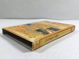 Wario World Nintendo GameCube Japan - DL4140