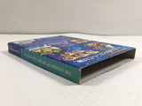 The Legend of Zelda The Wind Waker Nintendo GameCube Japan - DL4142